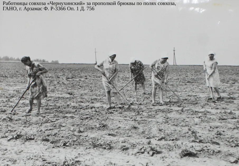 К 90-летию со дня образования Чернухинского района Горьковской  области 