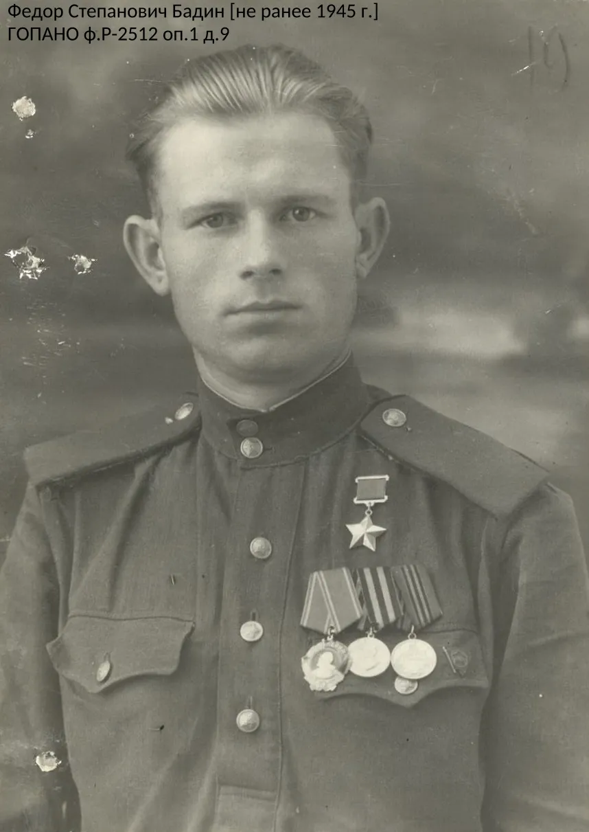 К 100-летию со дня рождения Героя Советского Союза Ф.С. Бадина (по документам ГОПАНО)