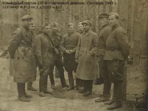 Ко Дню защитника Отечества (по документам ГОПАНО)